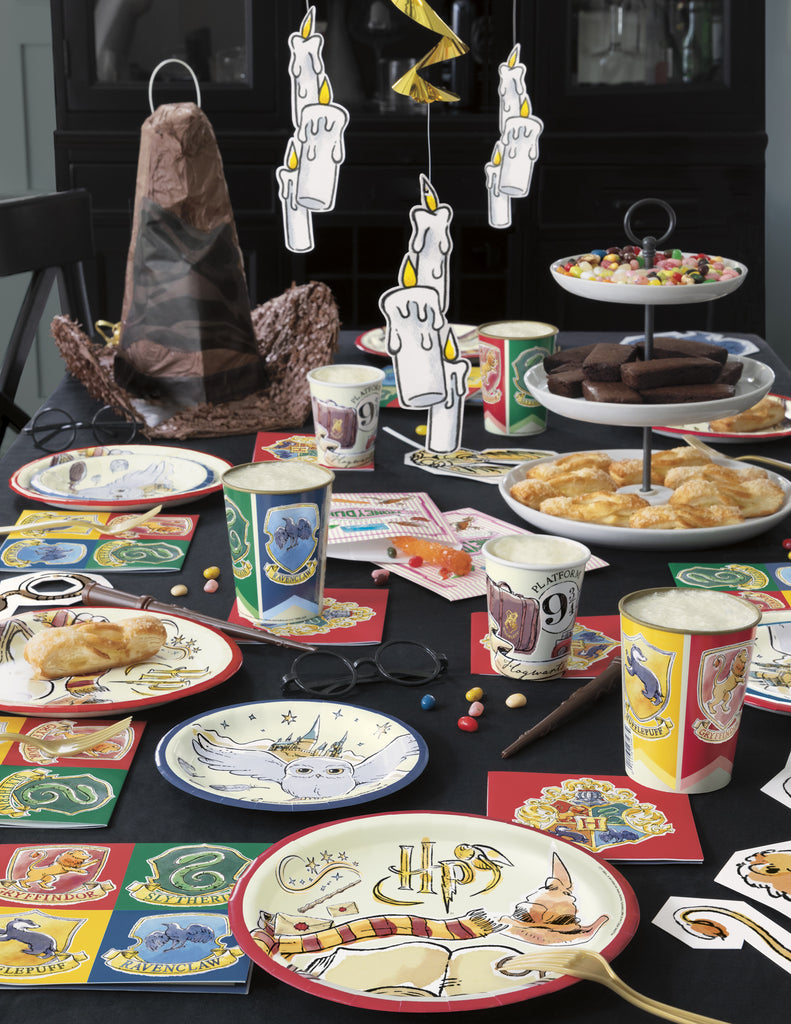 Harry Potter Birthday Party Supplies Party Supplies Canada - Open A Party