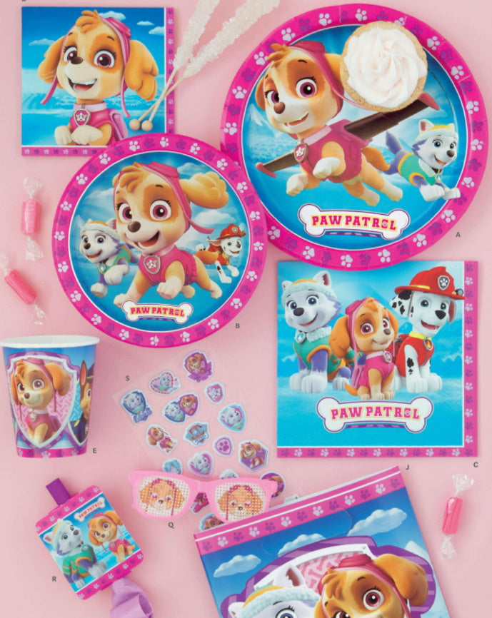Paw Patrol Girl Party Supplies
