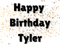 Happy Birthday Silver & Gold 18"x24" Custom Yard Sign
