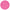 Hot Pink Dinner Plates
