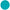 Caribbean teal Dessert Plates