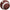 Football Party dinner plates
