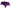 deep Purple Plastic Table Cover