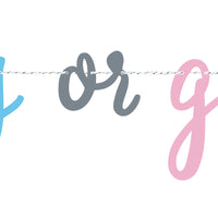 boy or girl 7 foot gender reveal banner