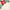 Red and Gold Poinsettia Luncheon Napkins