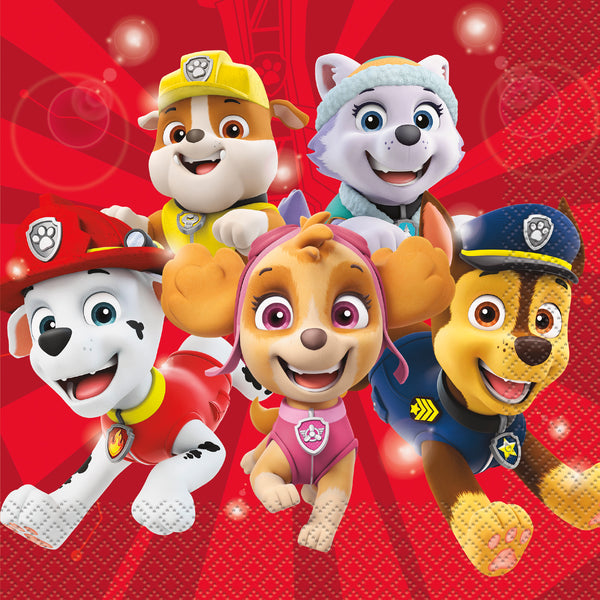 Paw Patrol Girl Party Supplies