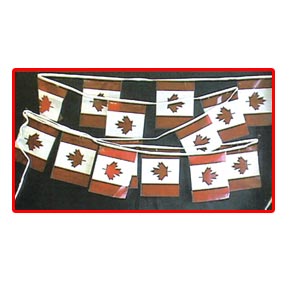 Canada Flag Pennant Banner