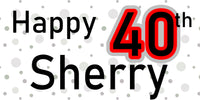Silver Dots Custom Birthday Vinyl Banner
