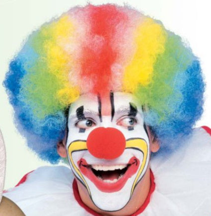 clown wig multi colour