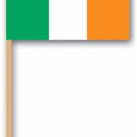irish flag picks, 50 per package
